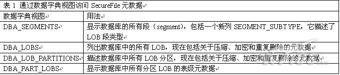 SecureFile信息的数据字典视图