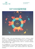 SAP HANA实用手册