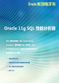 Oracle 11g SQL性能分析器技术指南