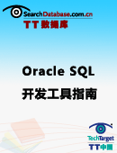 使用Oracle SQL Developer和其他开发工具