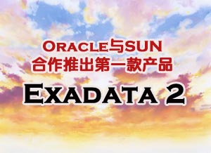 甲骨文与SUN合作推出第一款产品Exadata 2